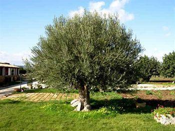 Masseria Sant' Elia Vakantieboerderij Arenella (Syracuse)